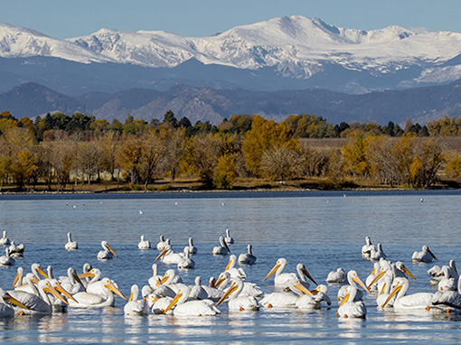 Cherry Creek State Park Location