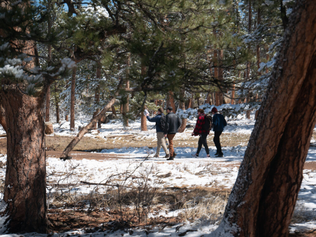 Photo looking through trees at four students walking on a hiking trail