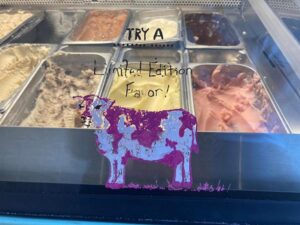 Close up of ice cream flavors on display at Sweet Action Ice Cream