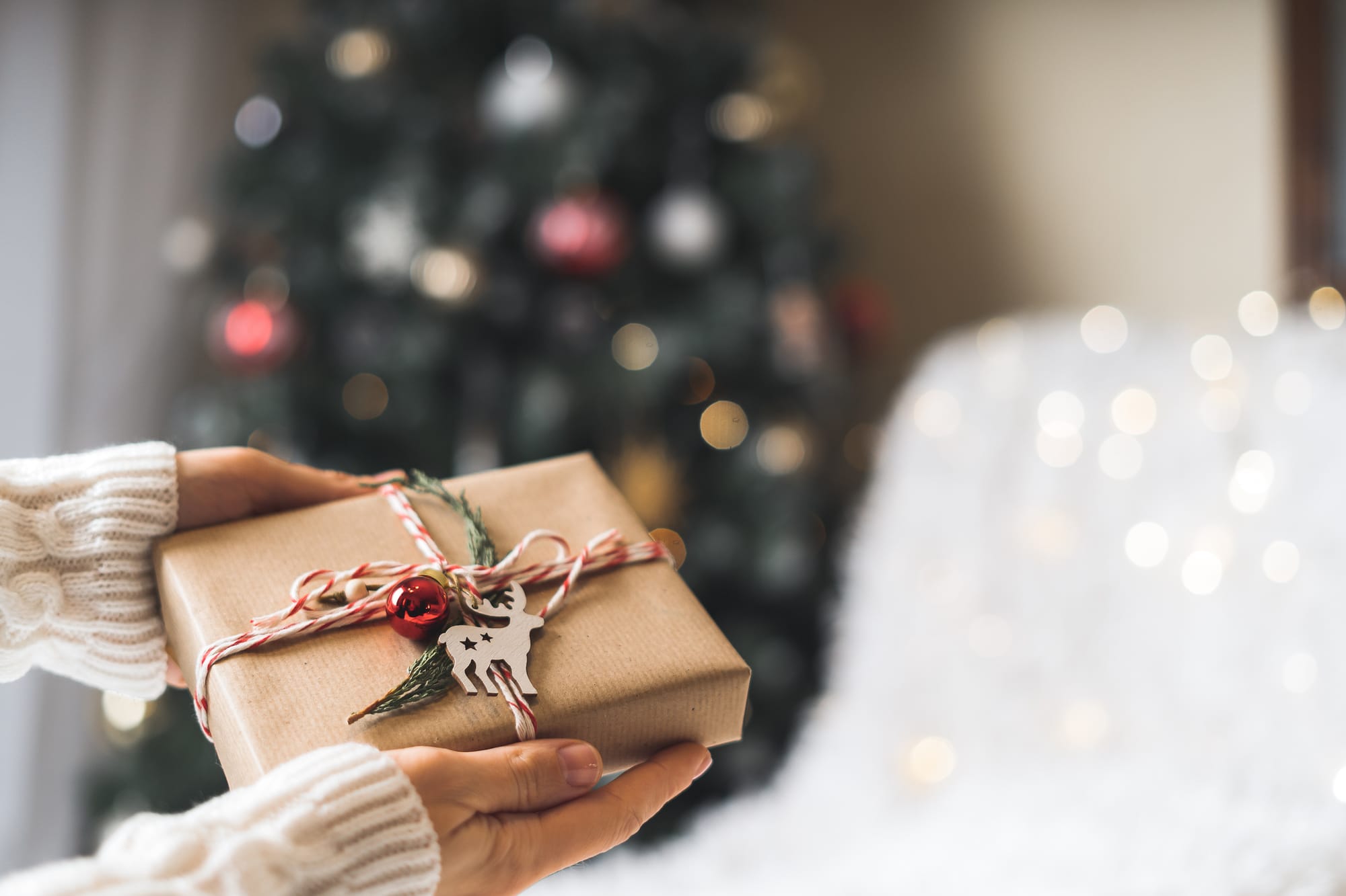 Holiday Gifts From Daniels Alumni