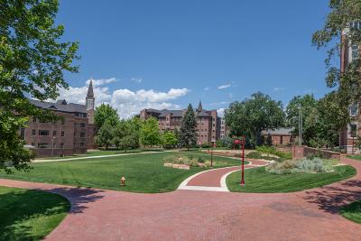 Campus during summer