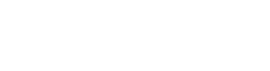 Race and Case logo