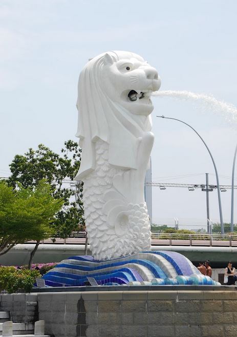 lion