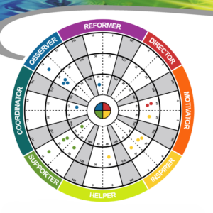 insights discovery visual of team wheel