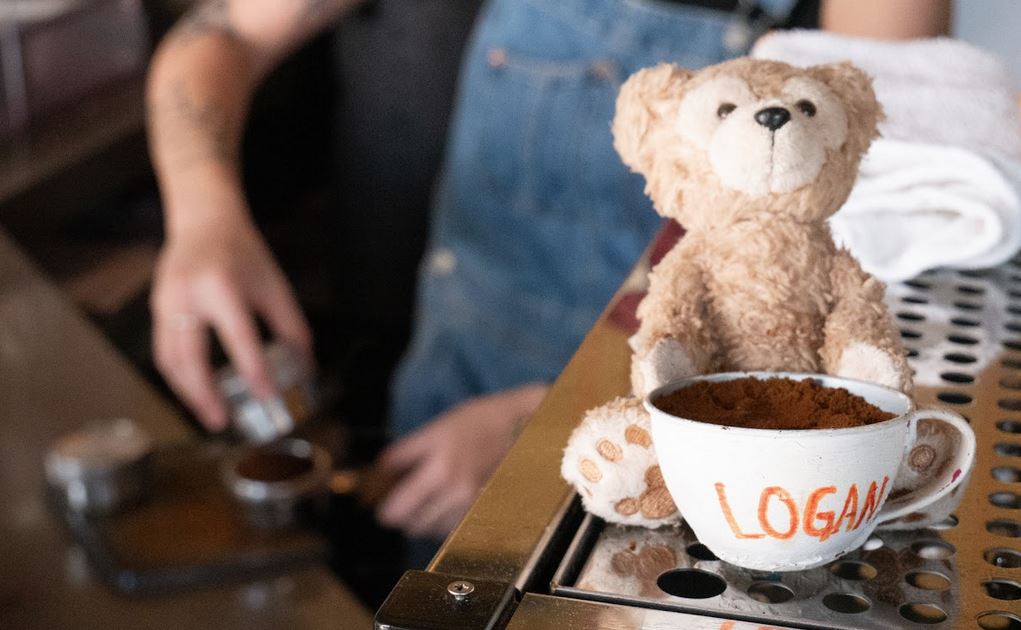 bear